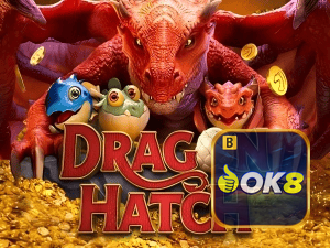 OK8BET PIX instantâneo Brasil - Depósito e saque em minutos 24/7