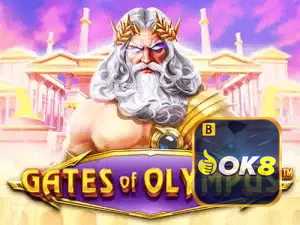 OK8BET APP mobile iOS Android - 187 mil downloads São Paulo Rio BH